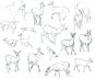 Filename=doe_sketches.jpg
Filesize=98KB
Dimensions=764x626
Date added=Jan 13, 2008 doe_sketches.jpg